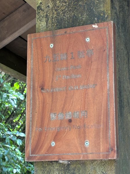 台北大縱走2026｜💎尋寶登上九五峰！第六段｜中華科大→九五峰→南港山→富陽生態公園3092069