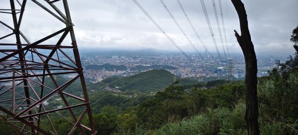 2026/06/13_大崙頭尾親山步道3075163