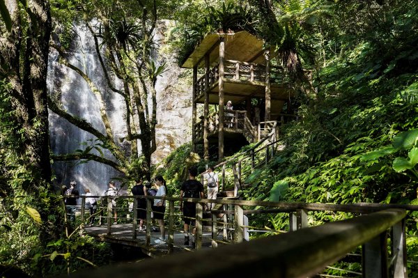 滿月圓森林步道2870094