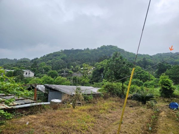 水聳淒坑山