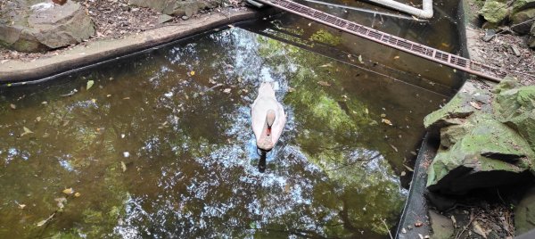 杭州動物園3089146