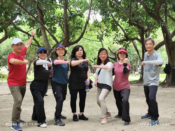 大安森林公園、高記上海料理、北師美術館【走路趣尋寶，全臺齊步走】2526018