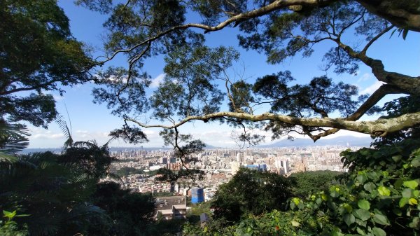 中和圓通步道 ！國旗嶺 ！圓通寺 ！1225646