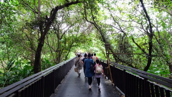 關渡自然鳥公園2322952