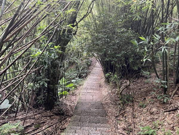 [跟著2025雙北世壯運探索雙北市-6/21] 2025_0614 文化排擊徑（文化大學－天母古道）2814412