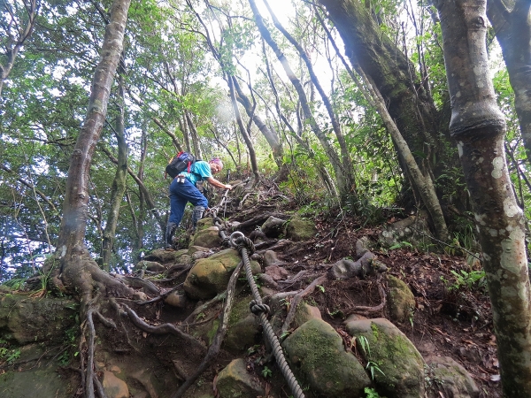 筆架山原路來回265647