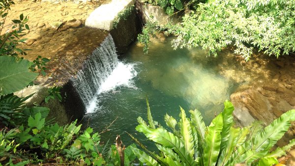 清幽的古道與舊日採礦遺址巡禮瑞芳蛇形子古道登烏塗窟山與獅子嘴奇岩O形2756626