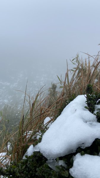 大屯山追雪趣| Mt. Datun|2024年1月24日|峯花雪月2409560