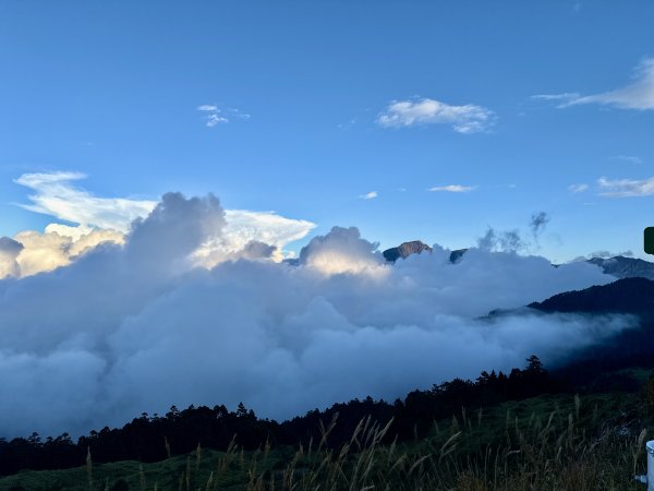 合歡東峰散步趣  2025.10.152923068