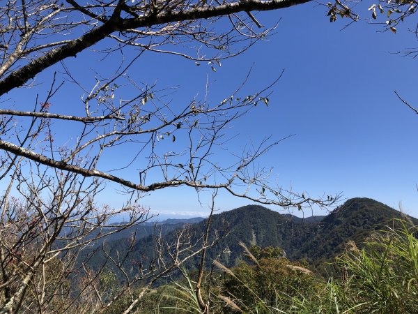 漫步探訪台灣山毛櫸國家步道965922