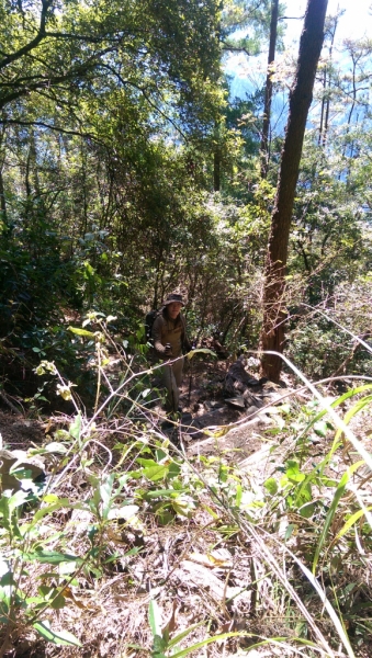 登山初體驗之谷關七雄-東卯山69594