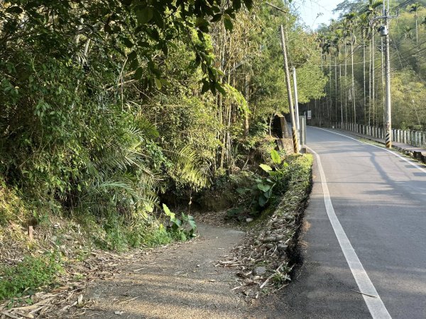 鹿谷長源圳生態步道2726269