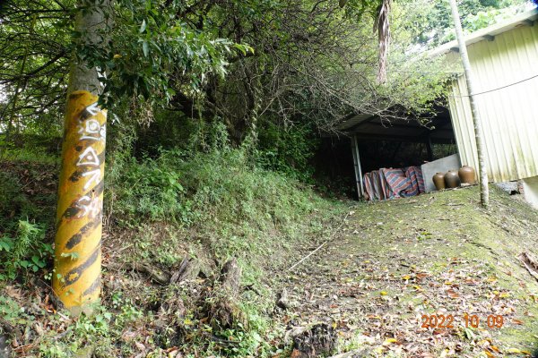 臺南 楠西 岩子頂山1876018