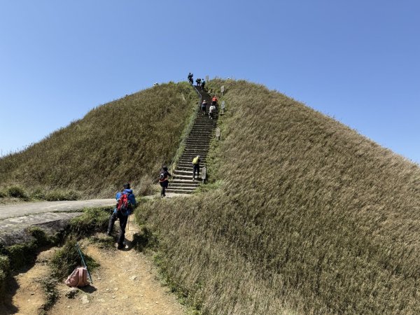 2025/03/21 聖母山莊 抹茶山 三角崙山2935107