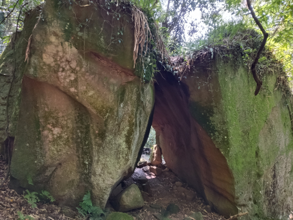 內湖區大丘田保甲路+開眼山+白石湖山+白石湖山東峰+大邱田山+消防山O型