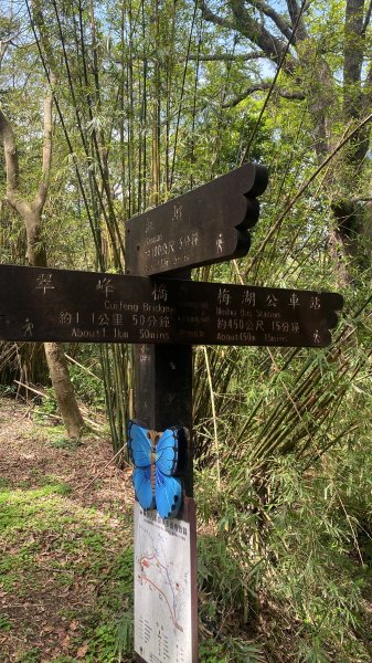 如墨暈染的春日邂逅｜中山樓墨染櫻 × 北投步道探花記2853889