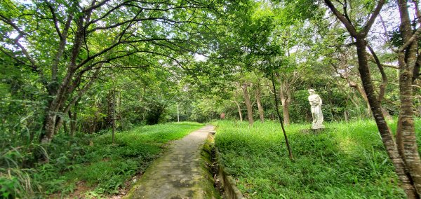 2023-06-10桃園石門山步道2177574