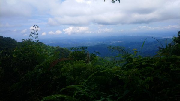 鵝公髻山和東北峰連走1727457