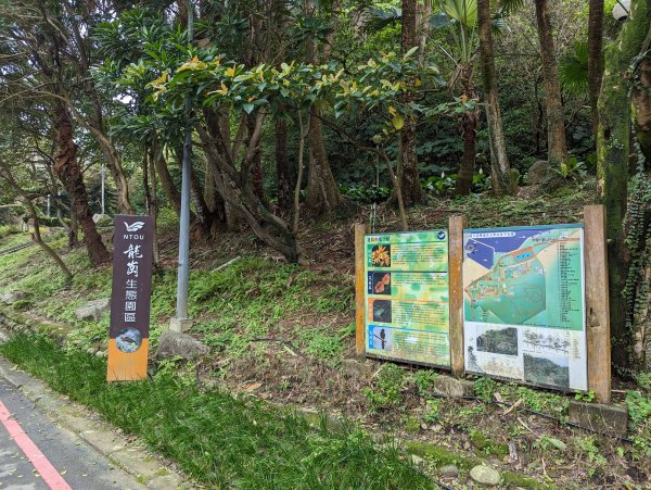 2023-02-11 槓子寮砲台、槓子寮山步道（龍崗步道）2792620