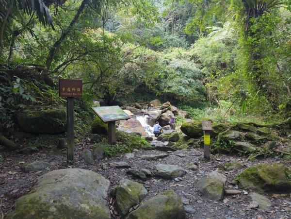 2025.01.10－松羅國家步道2981183