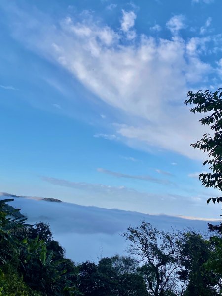 洗水山北峰.細道邦山(南峰)輕鬆撿--雲海花海看飽看滿   2022/2/101606999