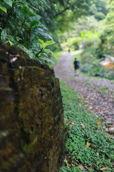 淡蘭古道中路-中坑古道至闊瀨2554138