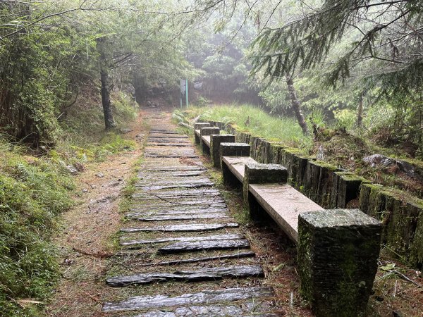 [玉山尋寶任務-02/12] 2025_0727 中之關、天池步道/南橫公路2847630