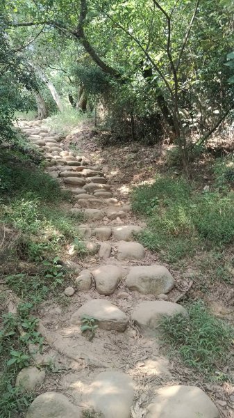 20251018 三義火炎山 南鞍古道 O型2920408