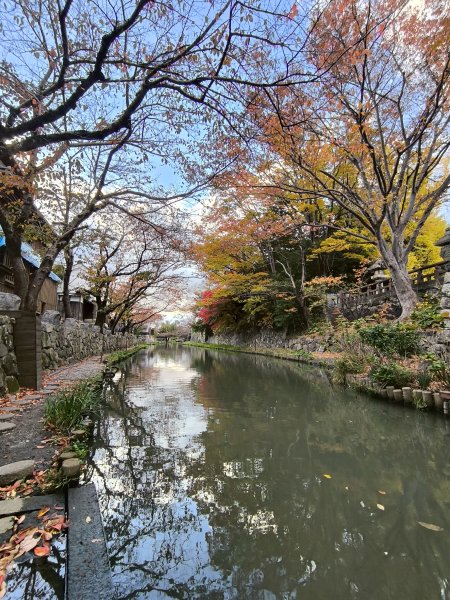 【日本健行】岡山、彥根 (近江八幡、彥根城)、姬路(書寫山圓教寺、世界遺產姬路城、好古園)2946493