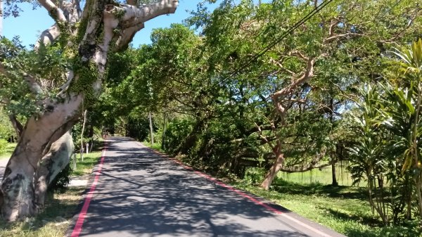 基隆市容軒步道-潮境公園雙膨山-七斗山(101高地)-望幽谷3112616