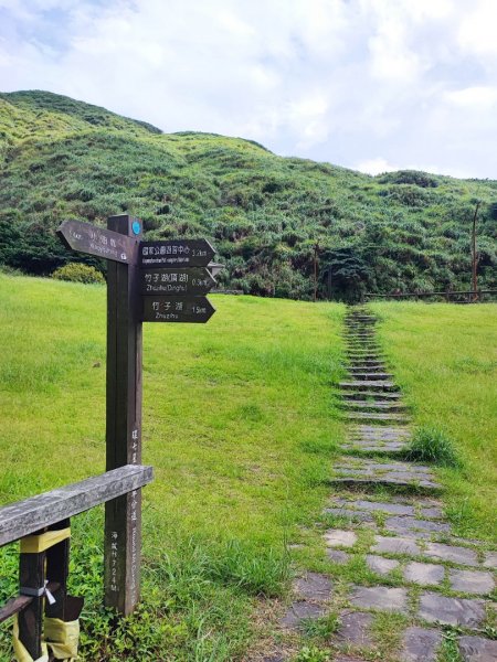 環七星山人車分道步道-陽金公路段 - 走遍陽明山尋寶任務2255025