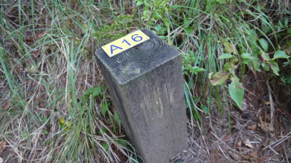 池有山單攻登山健行趣(百岳52)1515196