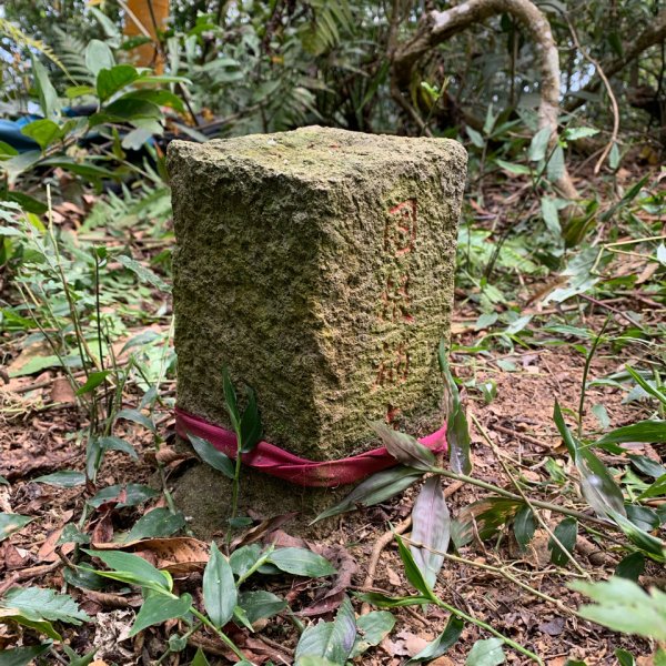 20250419屏東佳平山-虻彈山2767928