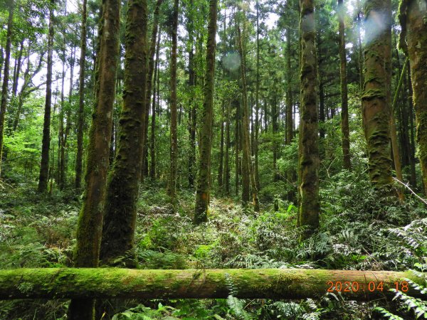 宜蘭 大同 旗山(未竟)923571