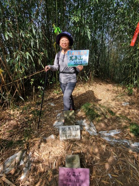 四天皇山知鳥山青園山篤鼻山1264662