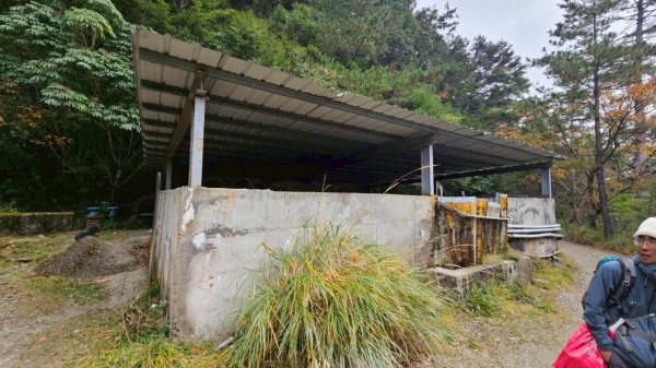 20251214合歡西北下華崗2963738