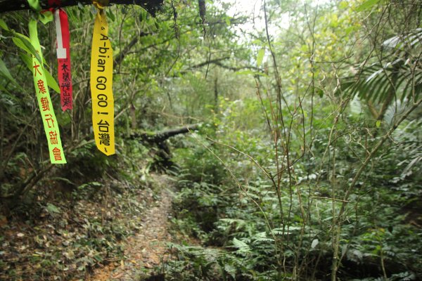 淡蘭古道北路坐山望海1253889