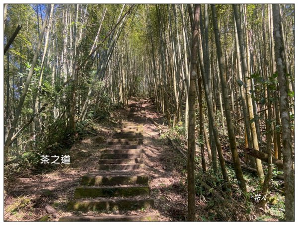 頂石棹步道群、樂野山、霹靂山 d型路線2749166