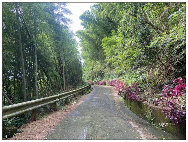 後棟仔山 O型路線2833445