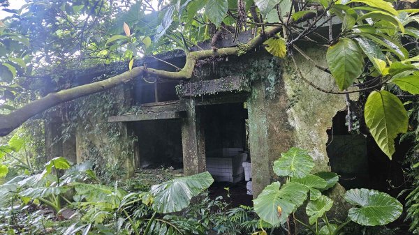 20251124綠峰山莊到天籟-大孔尾步道-南勢湖步道2944091