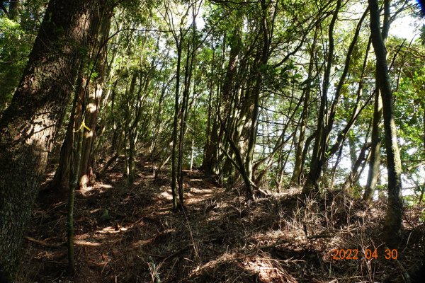 臺中 和平 烏石坑山1697238