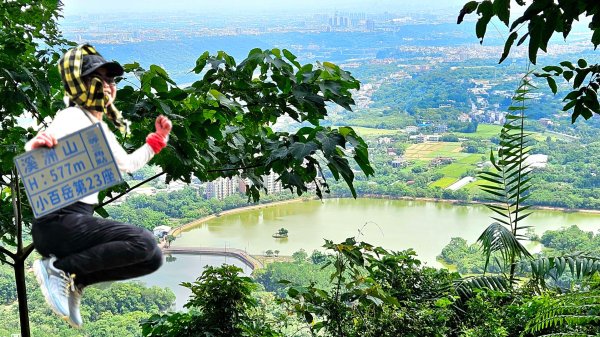大溪大九芎步道上小百岳溪洲山(H577m)2844308