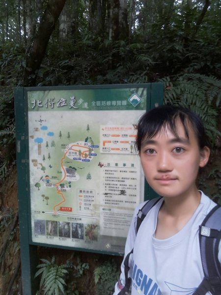 110.8.17 北得拉曼巨木步道