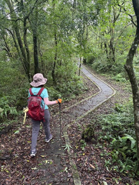 獅仔頭山 2025.07.202864277