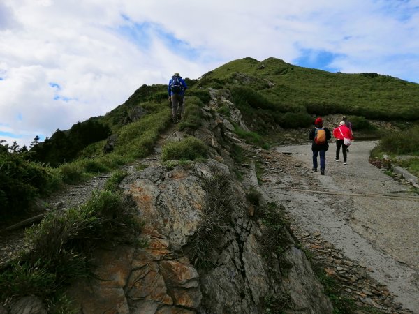南投仁愛~站在雲端上。百岳~合歡主峰步道1013547