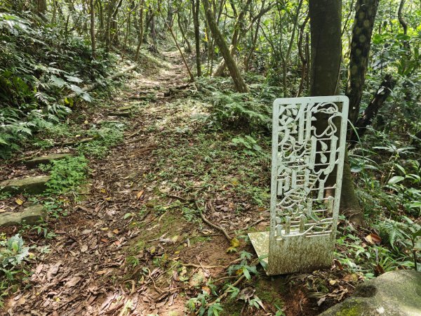 [淡蘭古道] 2026_0502 北路第二段_雞母嶺古道3047954