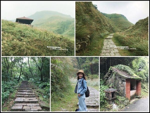 草嶺古道芒花開。濛濛細雨古道行