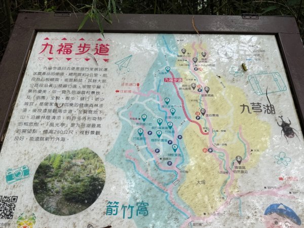 九芎湖步道群：九福、觀南、霽月步道走一圈3073211