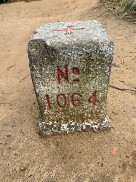 劍潭山（小百岳）830397