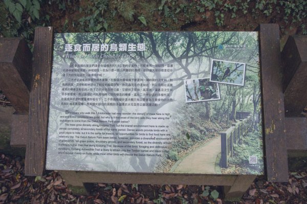 雨鞋登山初體驗-大屯山南峰、大屯山西峰連走1647921